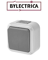 Выключатель А56-224(03) 2кл. IP54 серая