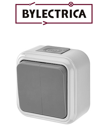 Выключатель А56-224(03) 2кл. IP54 серая