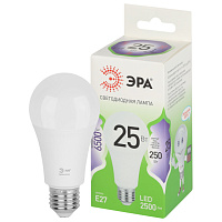 Лампа LED A60-25W-865-E27 ЭРА